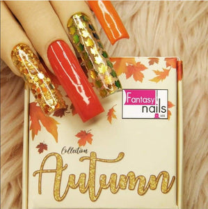 Fantasy nails Autumn set